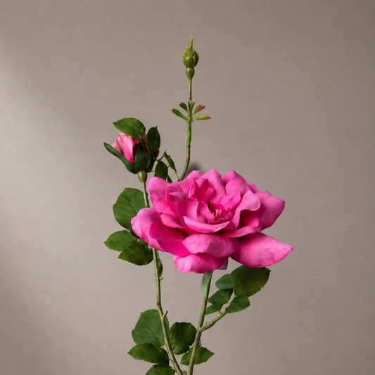 Real touch roze rozensteel in een sculpturale zwarte vaas tegen een zachte neutrale achtergrond