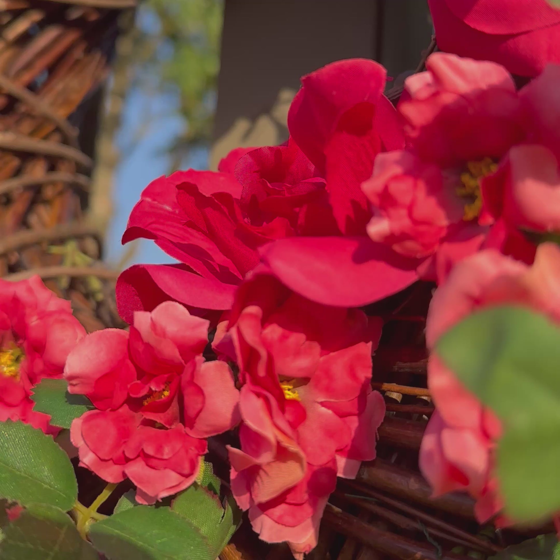 Handgemaakte luxe deurkrans met felle rode en fuchsia kunstrozen, delicate kersenbloesems en levendig groen blad, speels en asymmetrisch gerangschikt op een natuurlijke basis van takken. Deze expressieve bloemenkrans van Jardin Enchanté straalt passie, romantiek en mediterrane flair uit. Perfect als opvallende kunstbloemenkrans voor de voordeur, muurdecoratie of feestelijke gelegenheden. Ideaal voor wie een elegante, luxe seizoensdecoratie zoekt die direct een statement maakt.