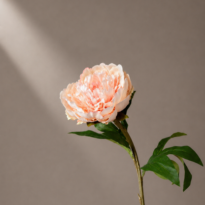 Premium fluwelen kunst pioenroos in zachte perziktinten gestyled in een sculpturale zwarte vaas