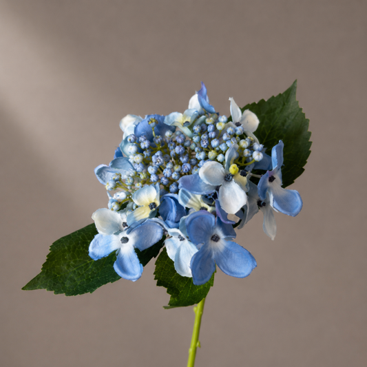 Real touch blauwe hortensia steel in een sculpturale zwarte vaas tegen een warme neutrale achtergrond