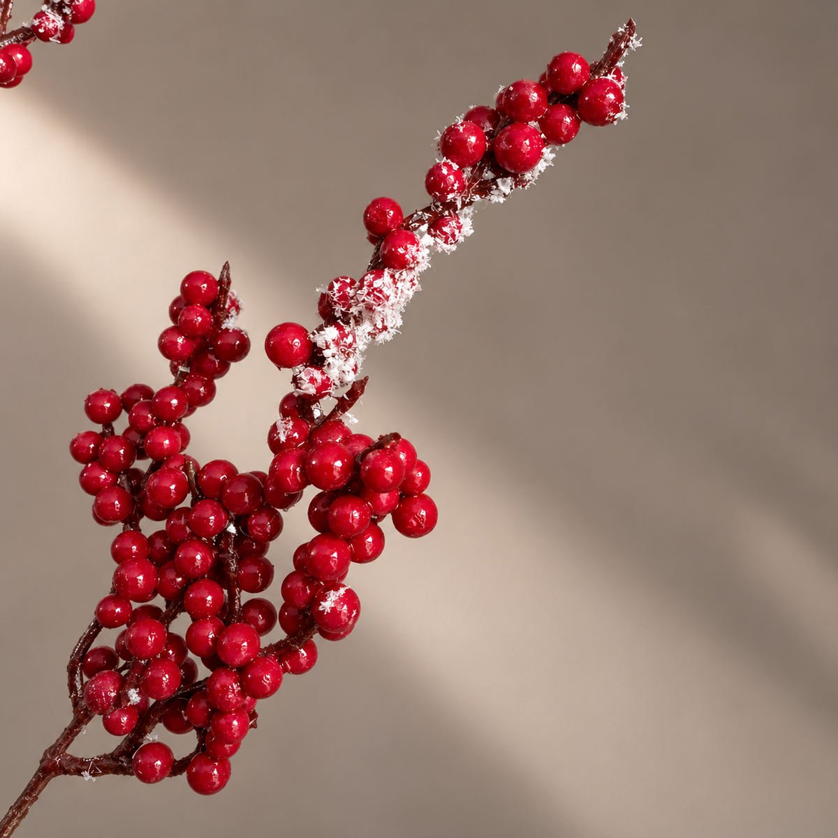 Close up of snowy red faux Christmas berries