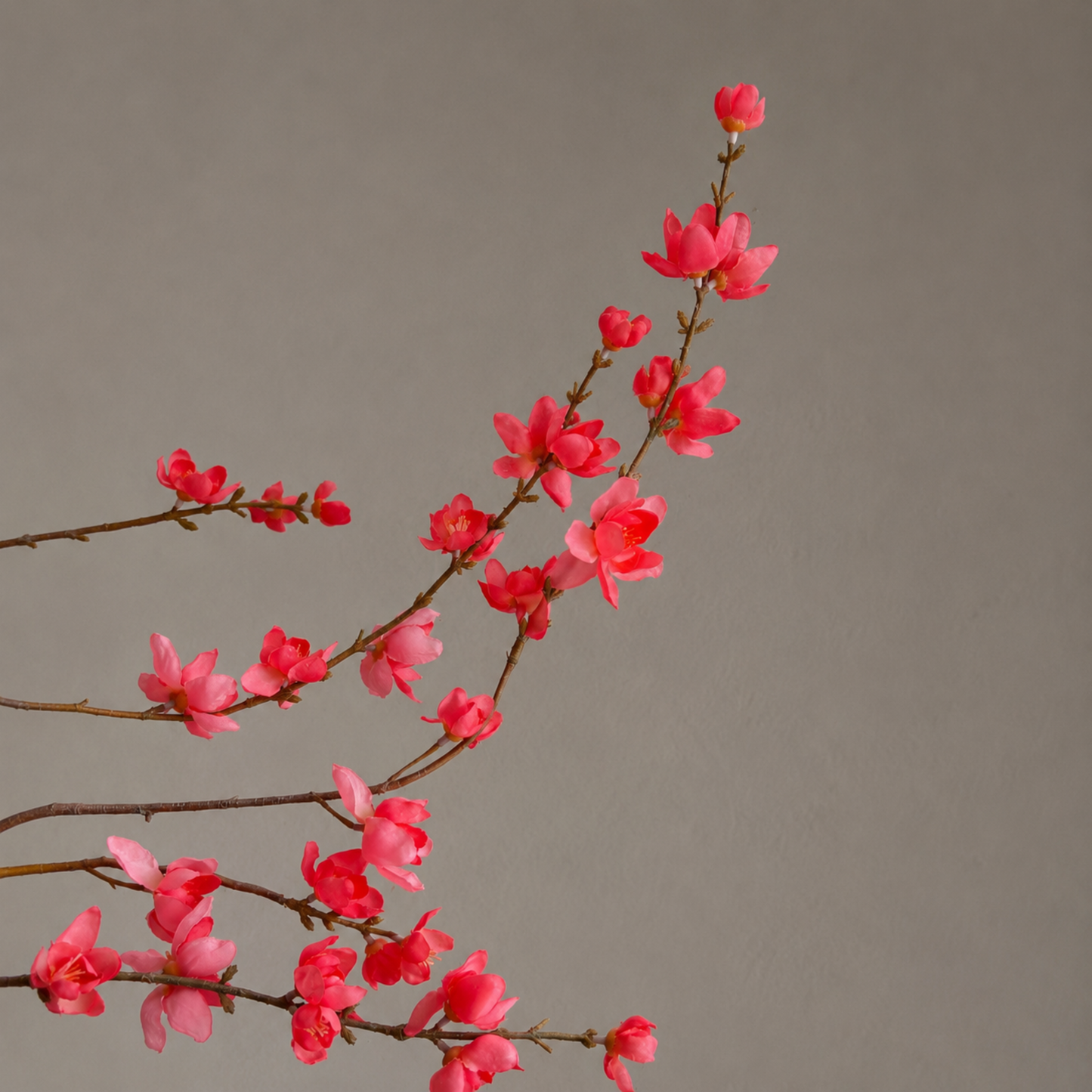 Premium kunst wintersweet bloesemtak in koraalroze tinten gestyled in een sculpturale zwarte vaas