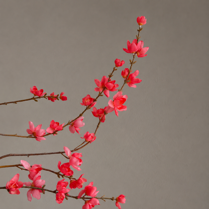 Premium kunst wintersweet bloesemtak in koraalroze tinten gestyled in een sculpturale zwarte vaas