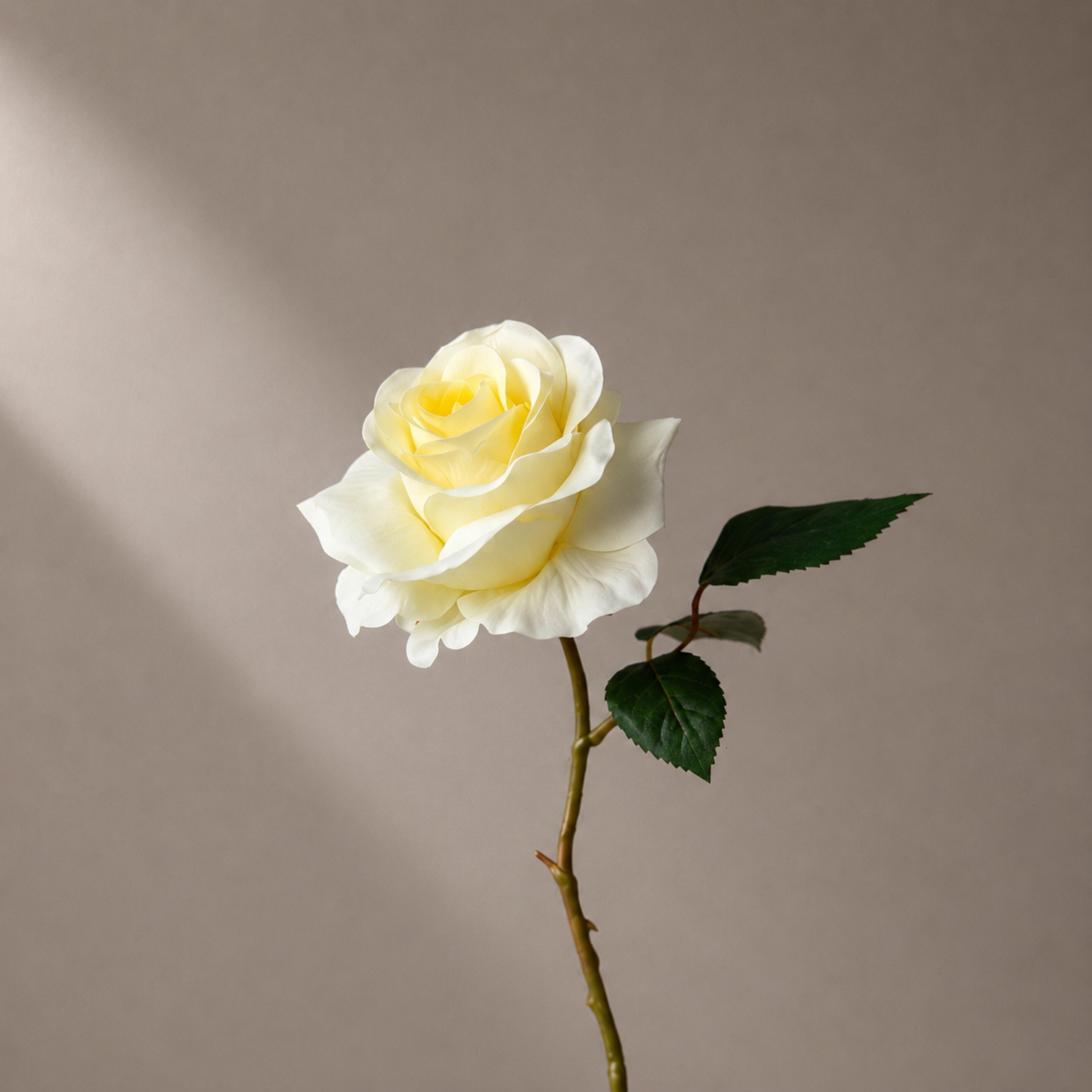 Real touch gele roos steel in een sculpturale zwarte vaas tegen een warme neutrale achtergrond