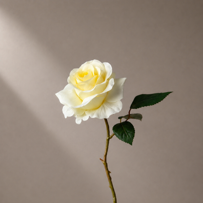 Real touch gele roos steel in een sculpturale zwarte vaas tegen een warme neutrale achtergrond