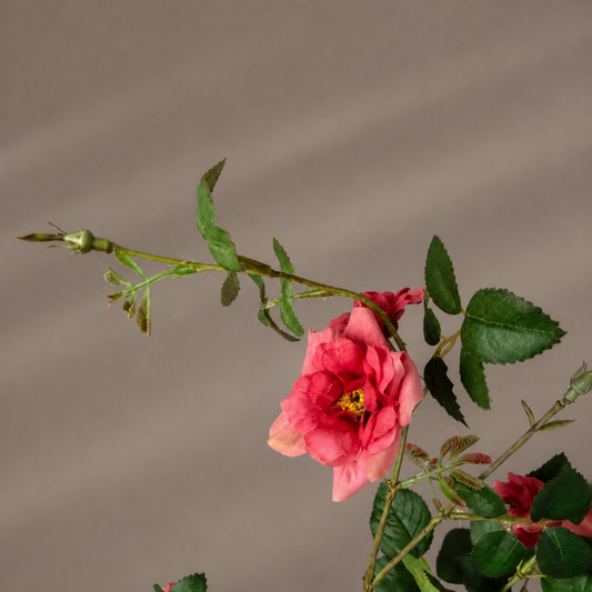 Real touch koraal mini tuinroos steel in een sculpturale zwarte vaas tegen een warme neutrale achtergrond