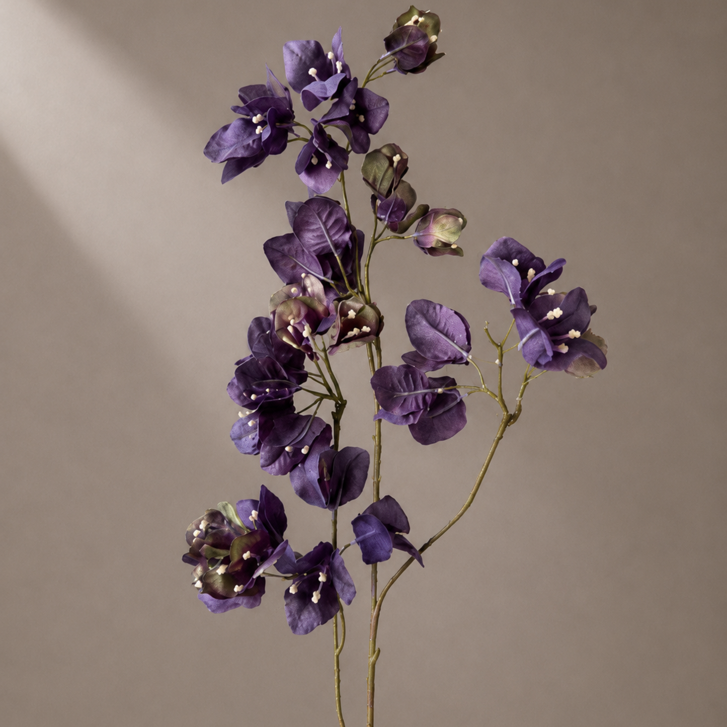 Premium paarse kunst bougainvillea tak gestyled in een sculpturale zwarte vaas tegen een warme neutrale achtergrond